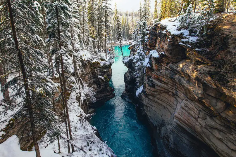 Альберта, Канада