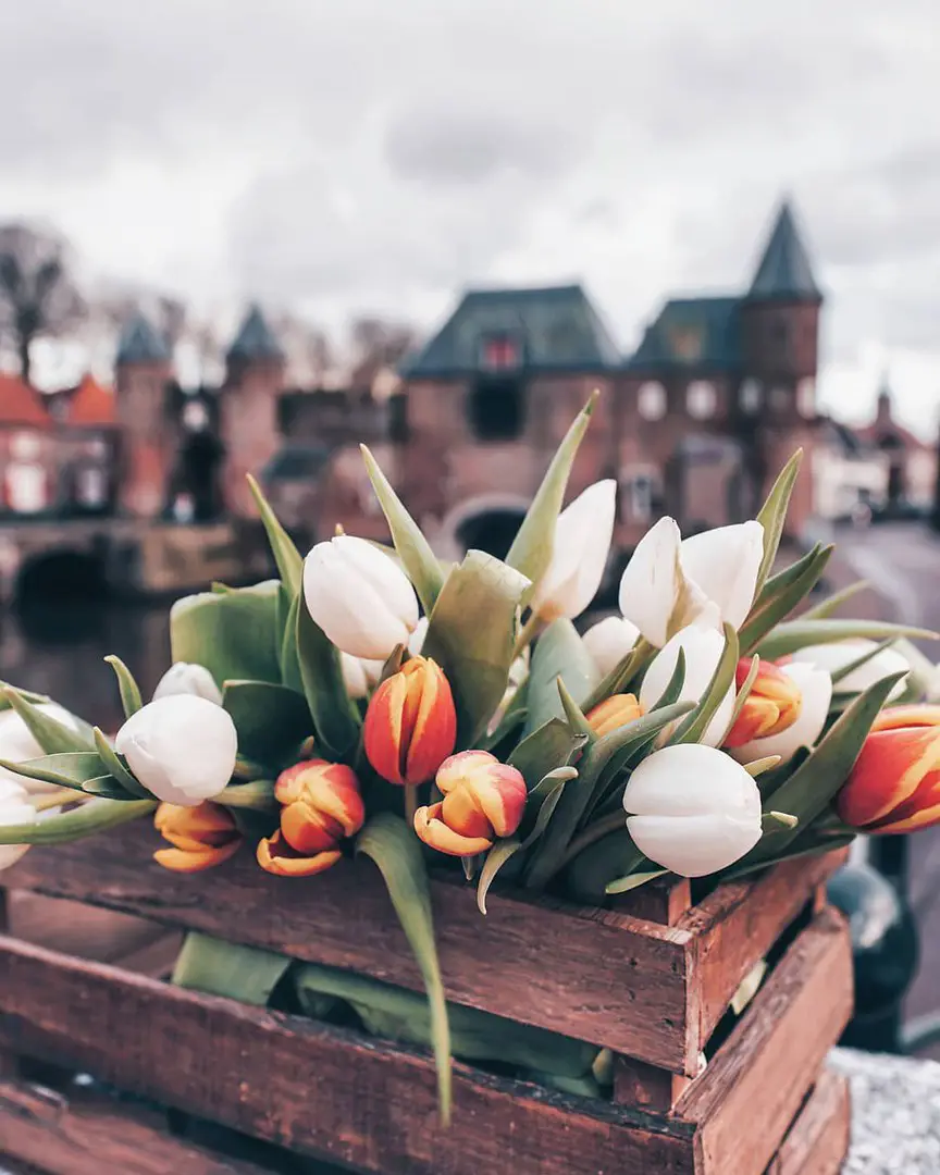 Amsterdam, The Netherlands