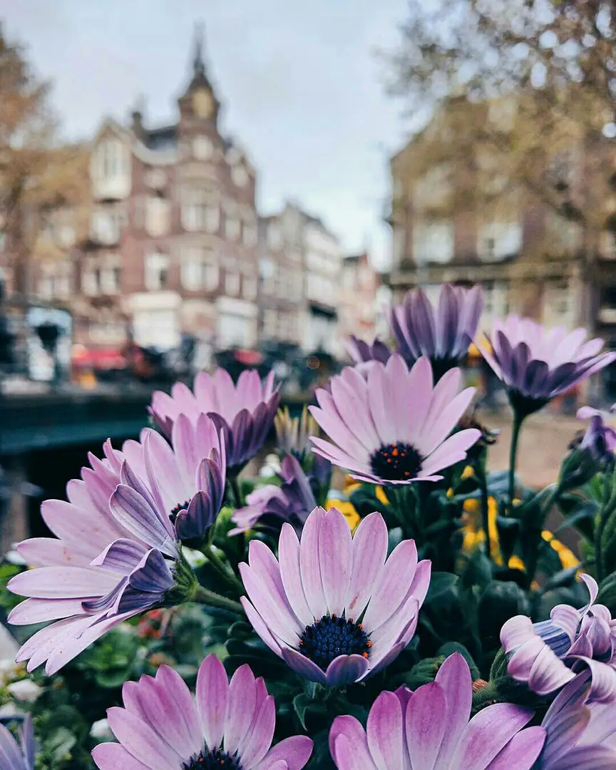 Amsterdam, The Netherlands