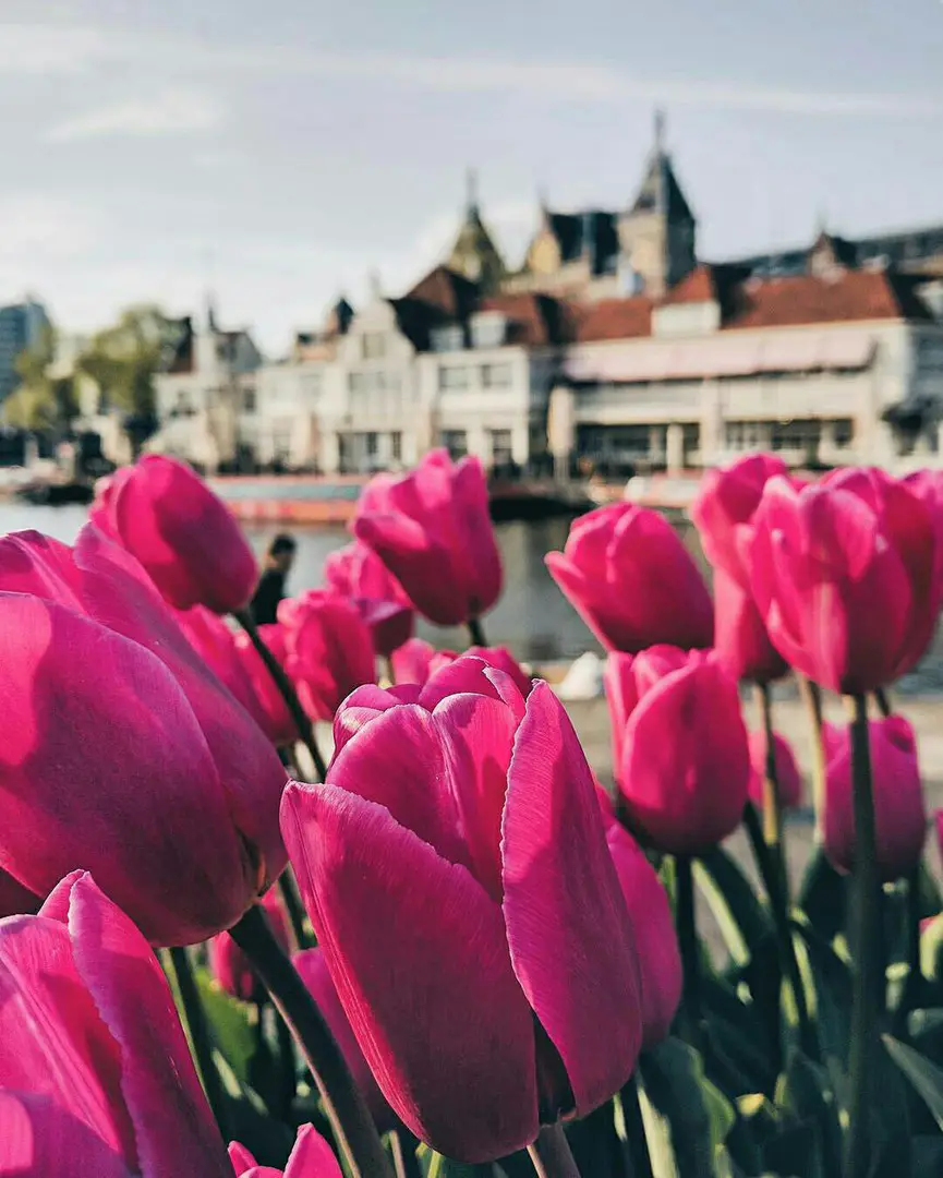 Amsterdam, The Netherlands