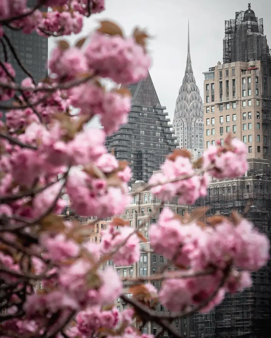 NYC