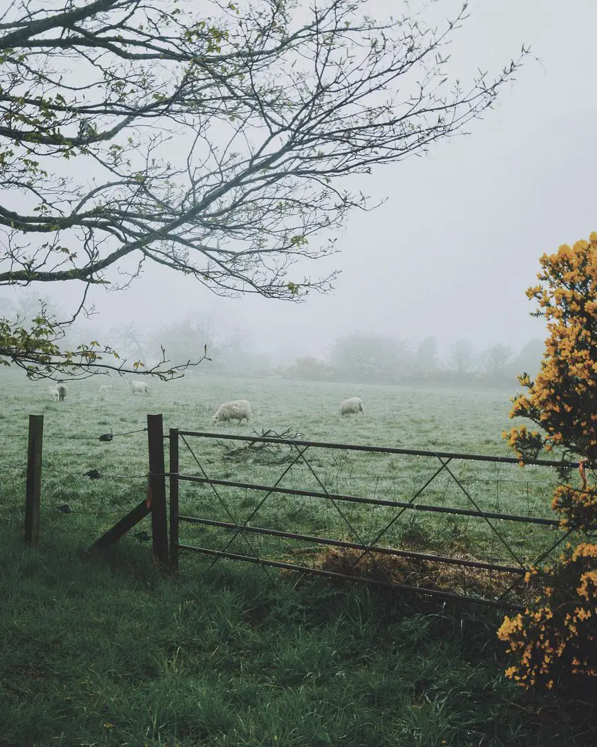 United Kingdom