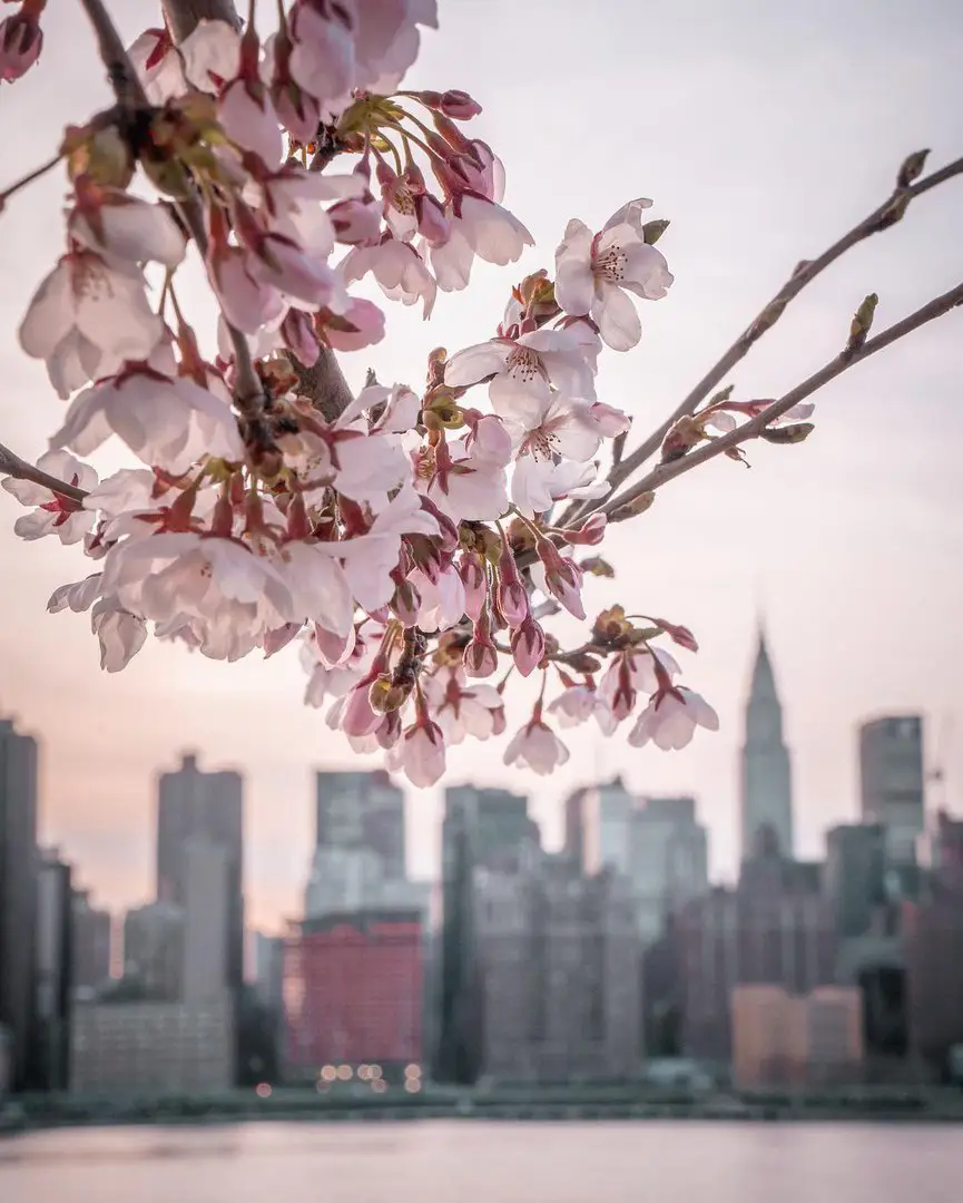 NYC