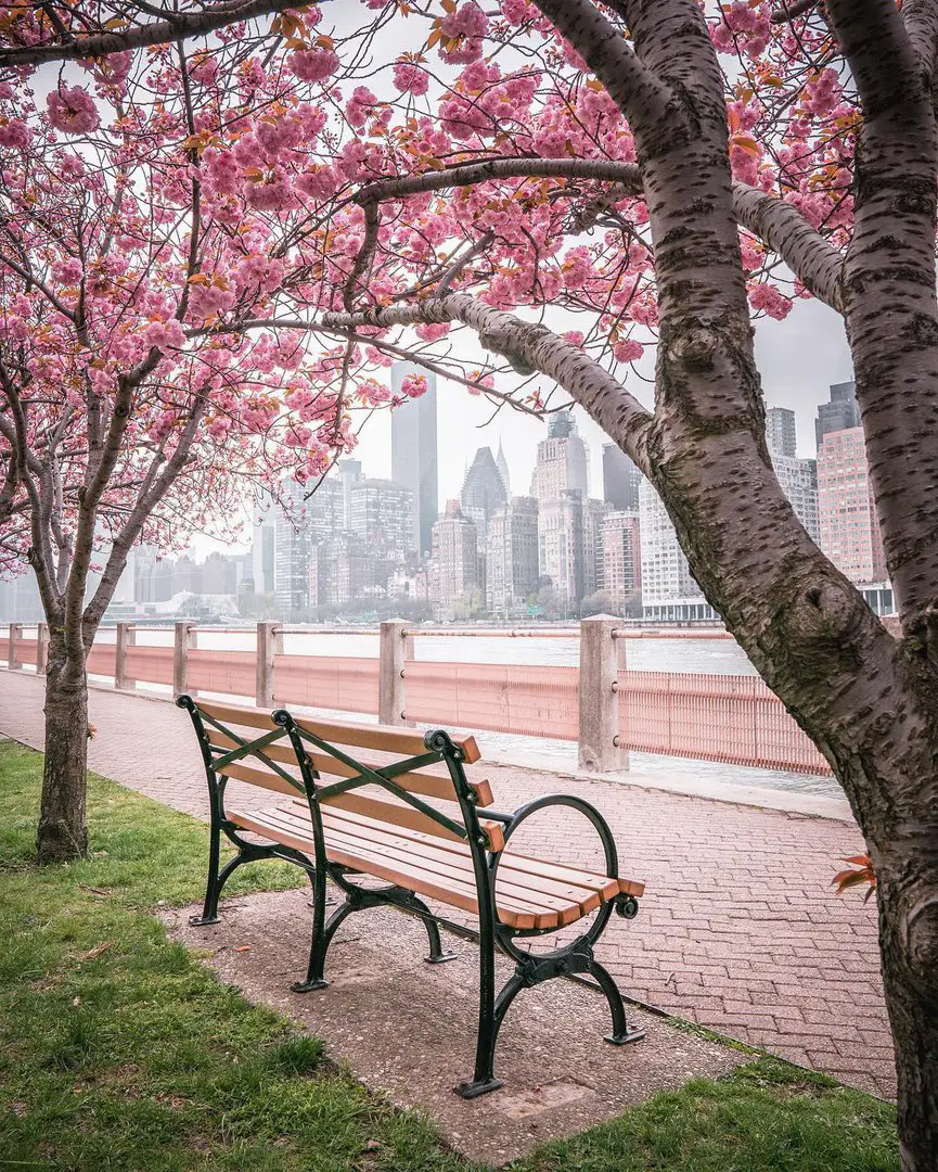 NYC