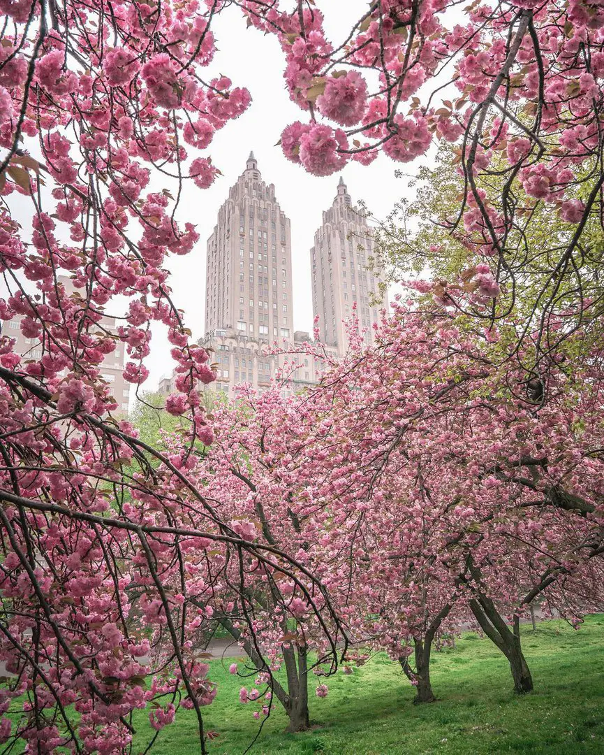 NYC