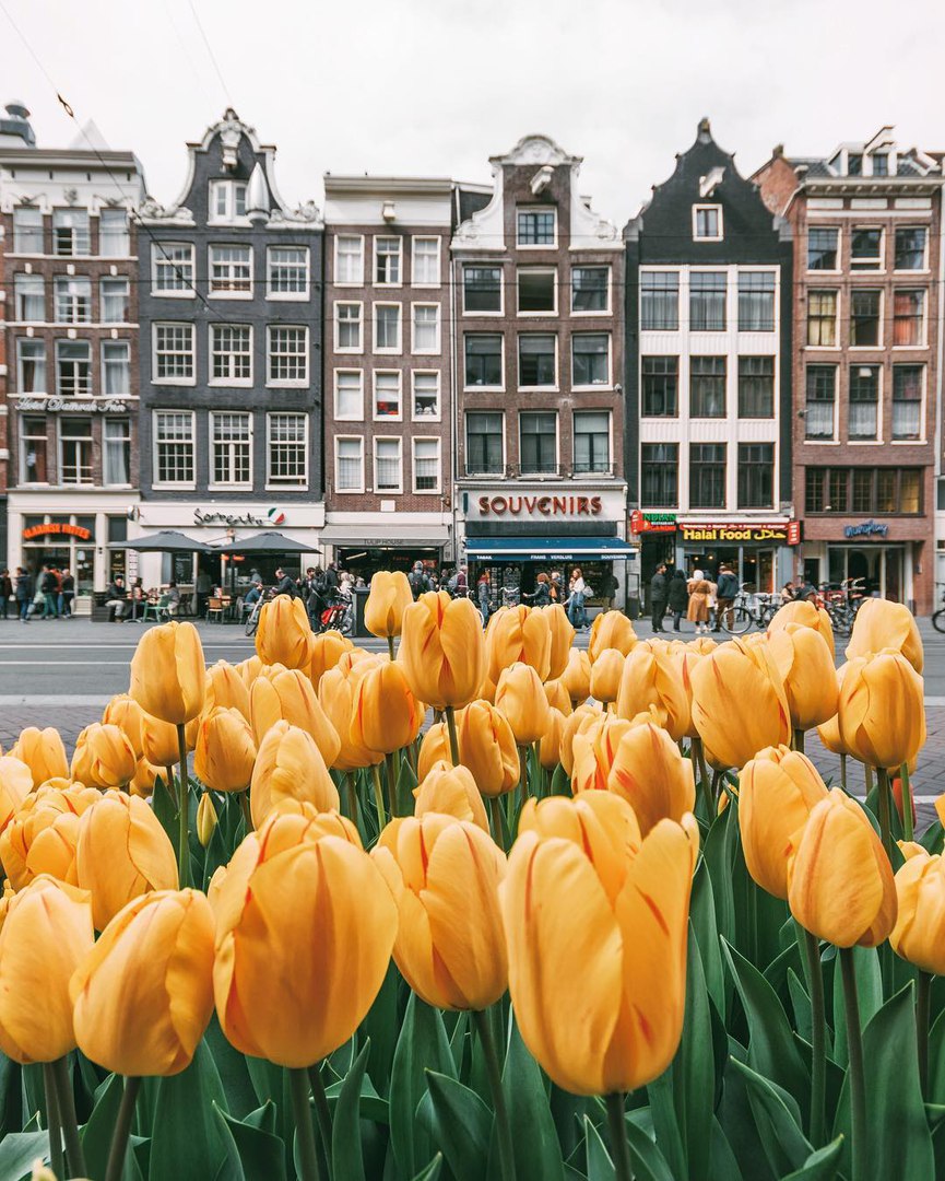 Амстердам, Нідерланди