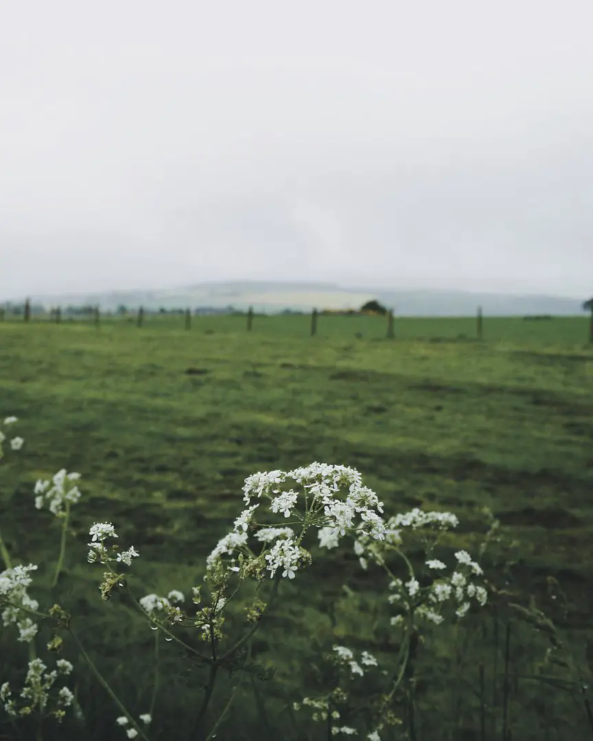 United Kingdom