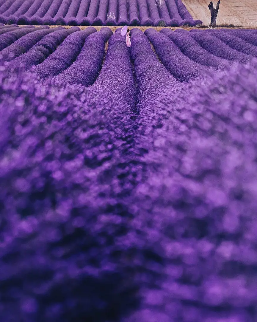 Provence, France