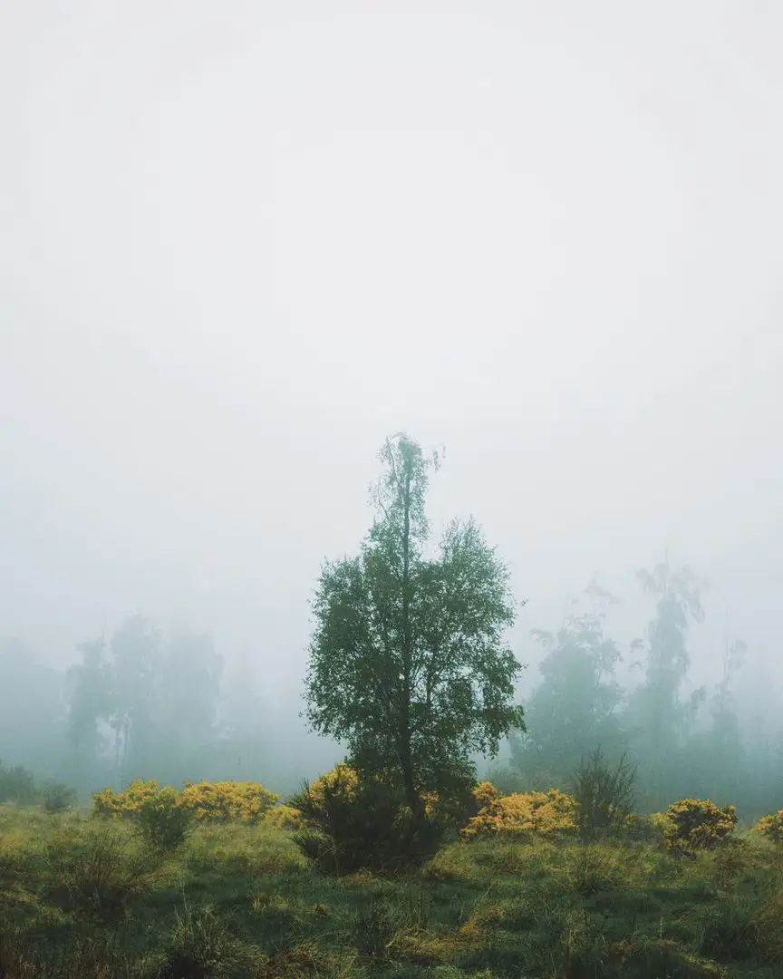 United Kingdom