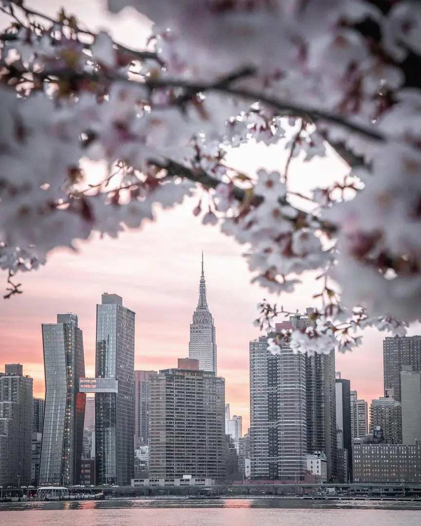 NYC