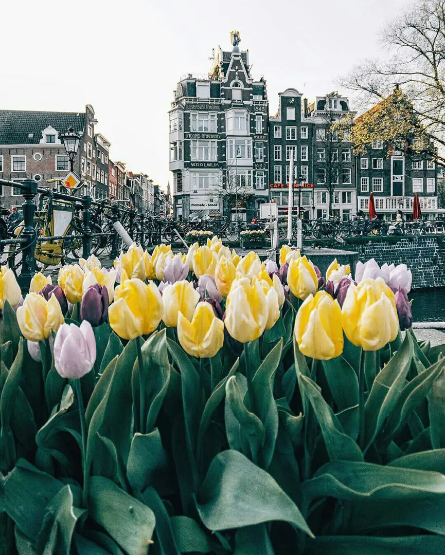 Amsterdam, The Netherlands