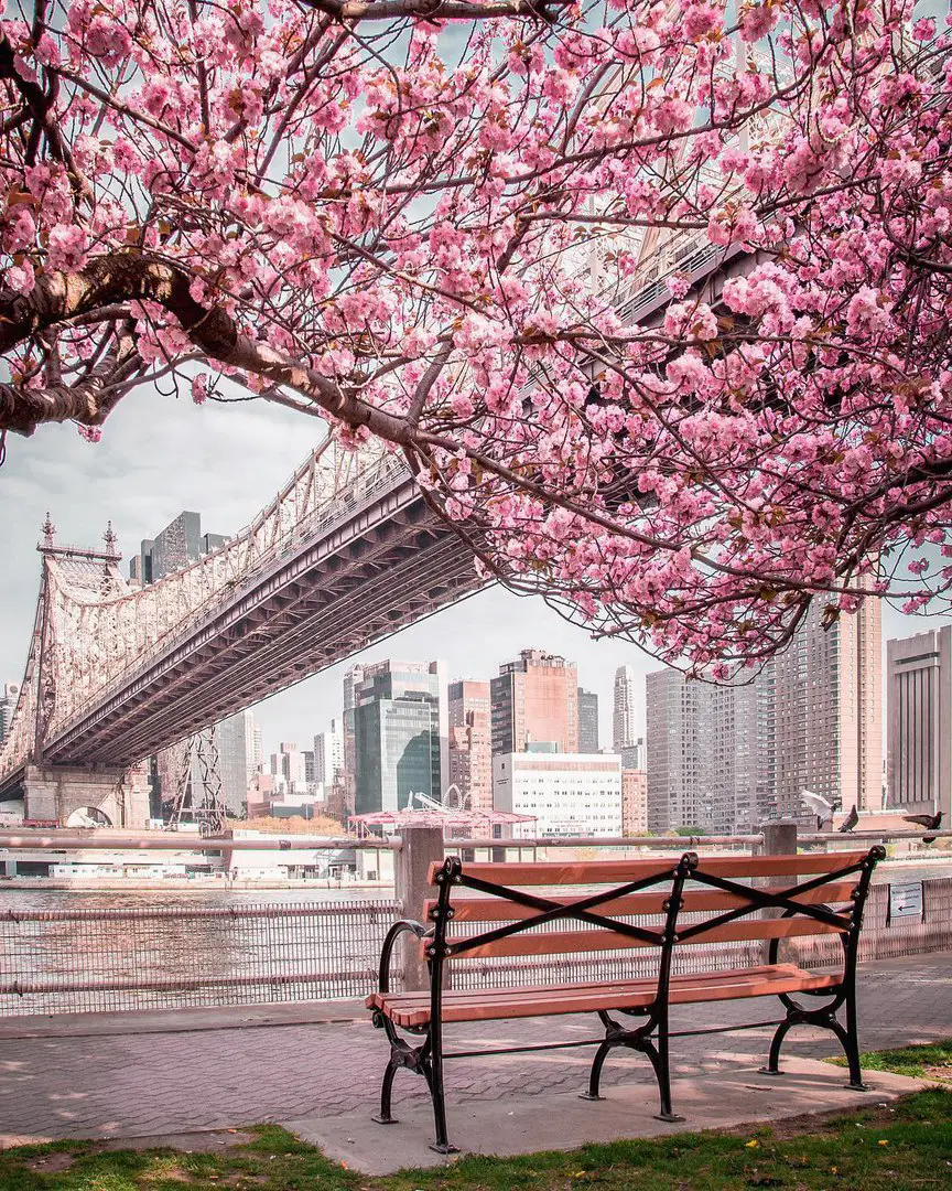 NYC