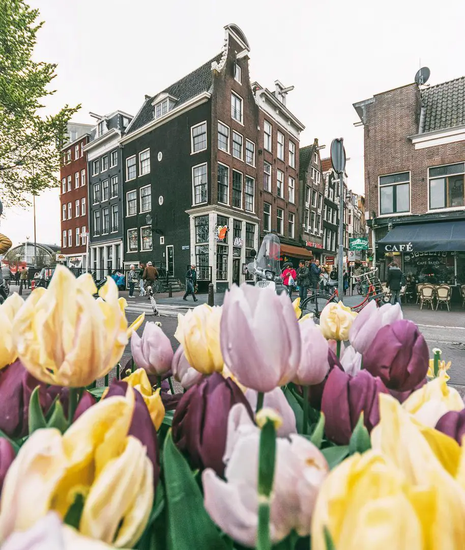 Amsterdam, The Netherlands