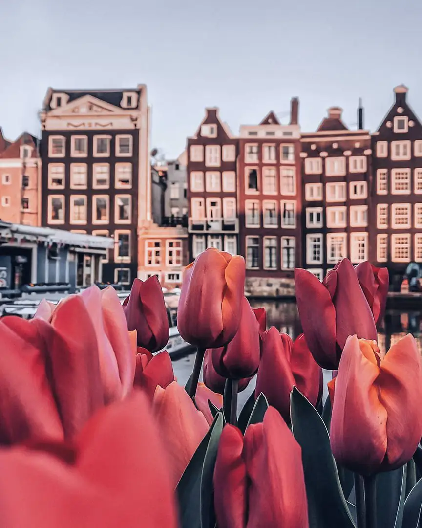 Amsterdam, The Netherlands