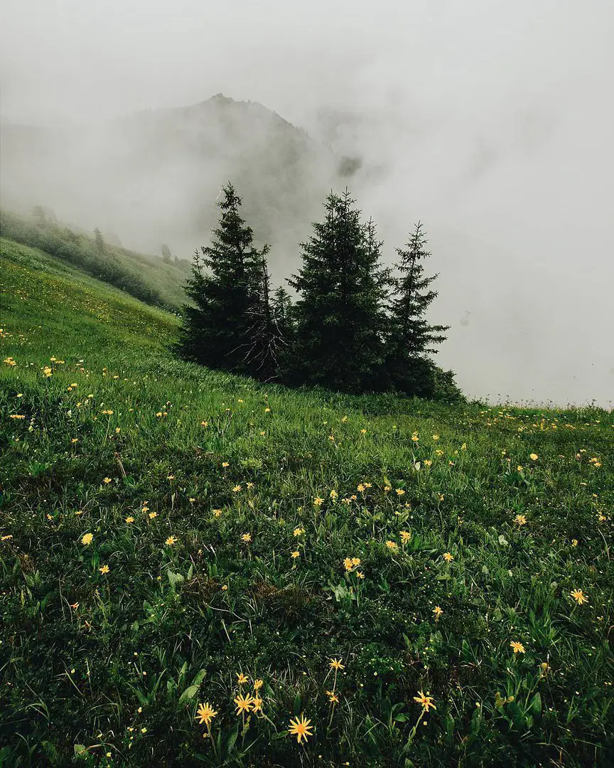 Германия