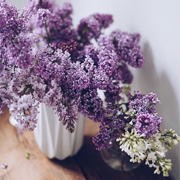 Lilac adoration post