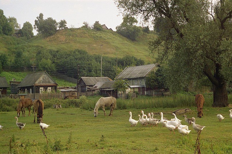 Сельская красота