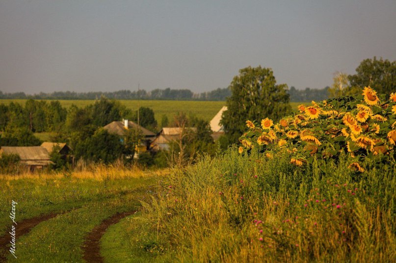 Сельская красота