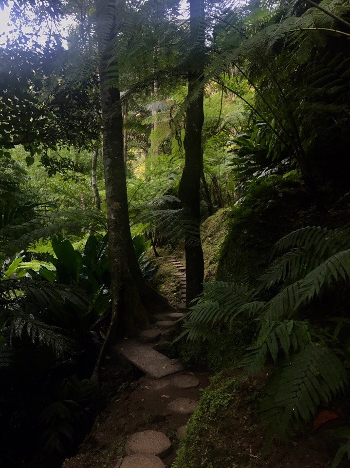 Bali, Ubud