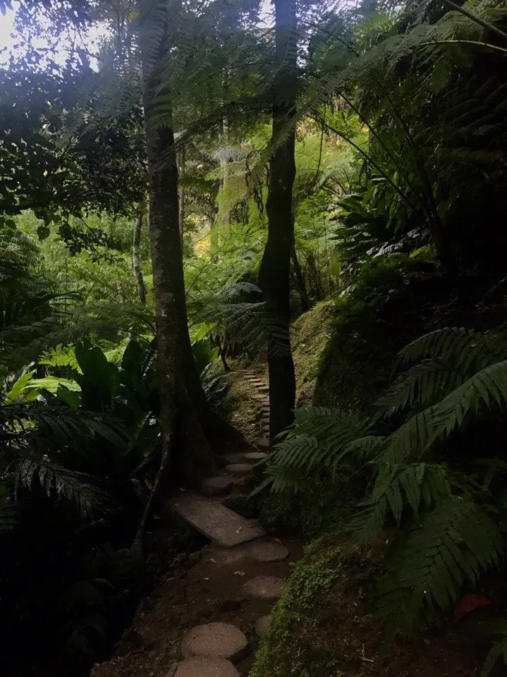 Bali, Ubud