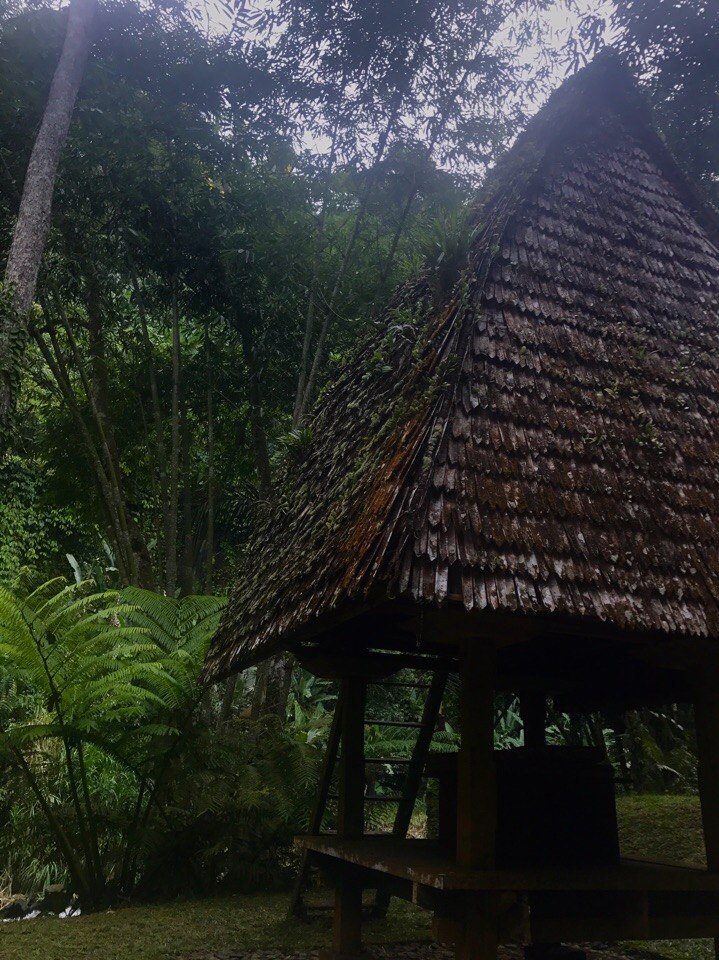 Бали, Убуд