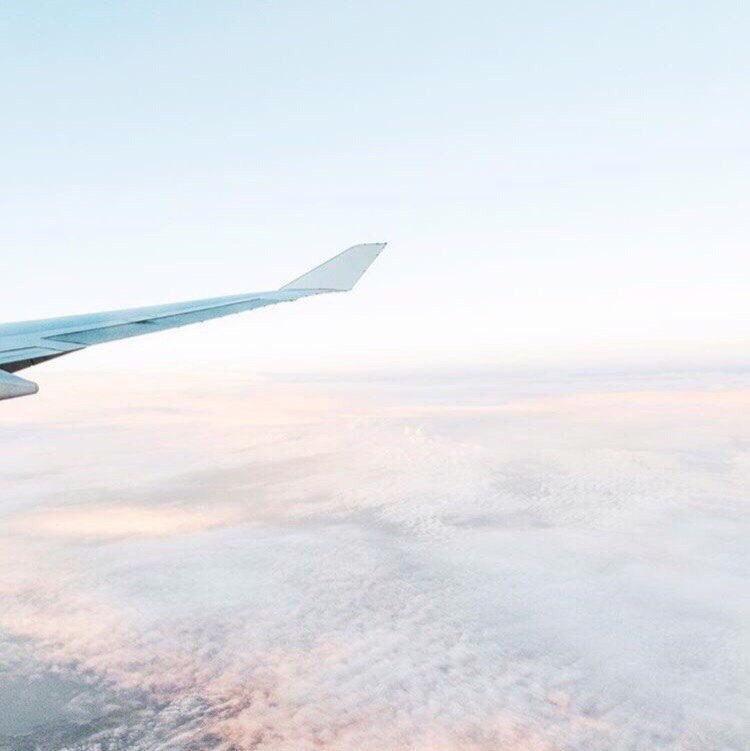 Have you flown?