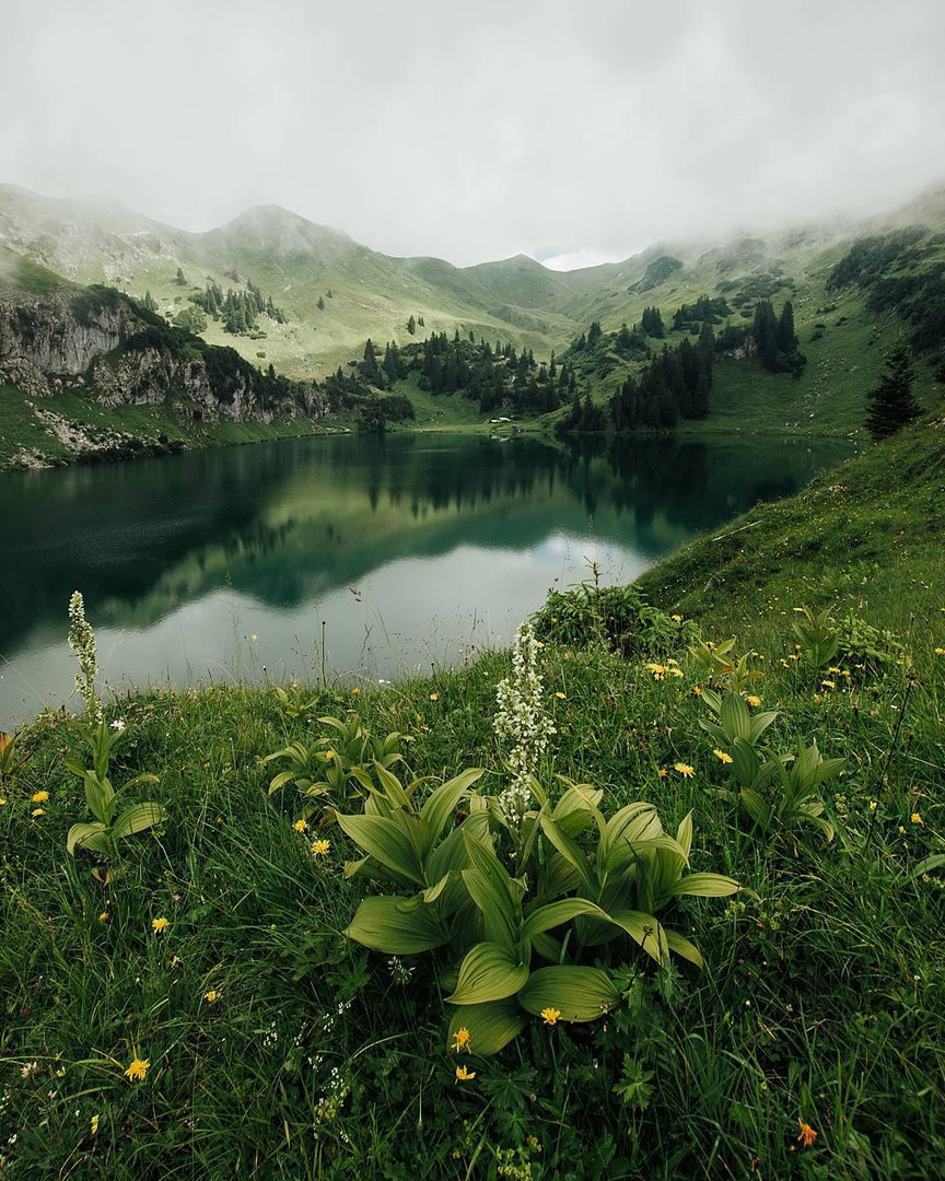 Германия