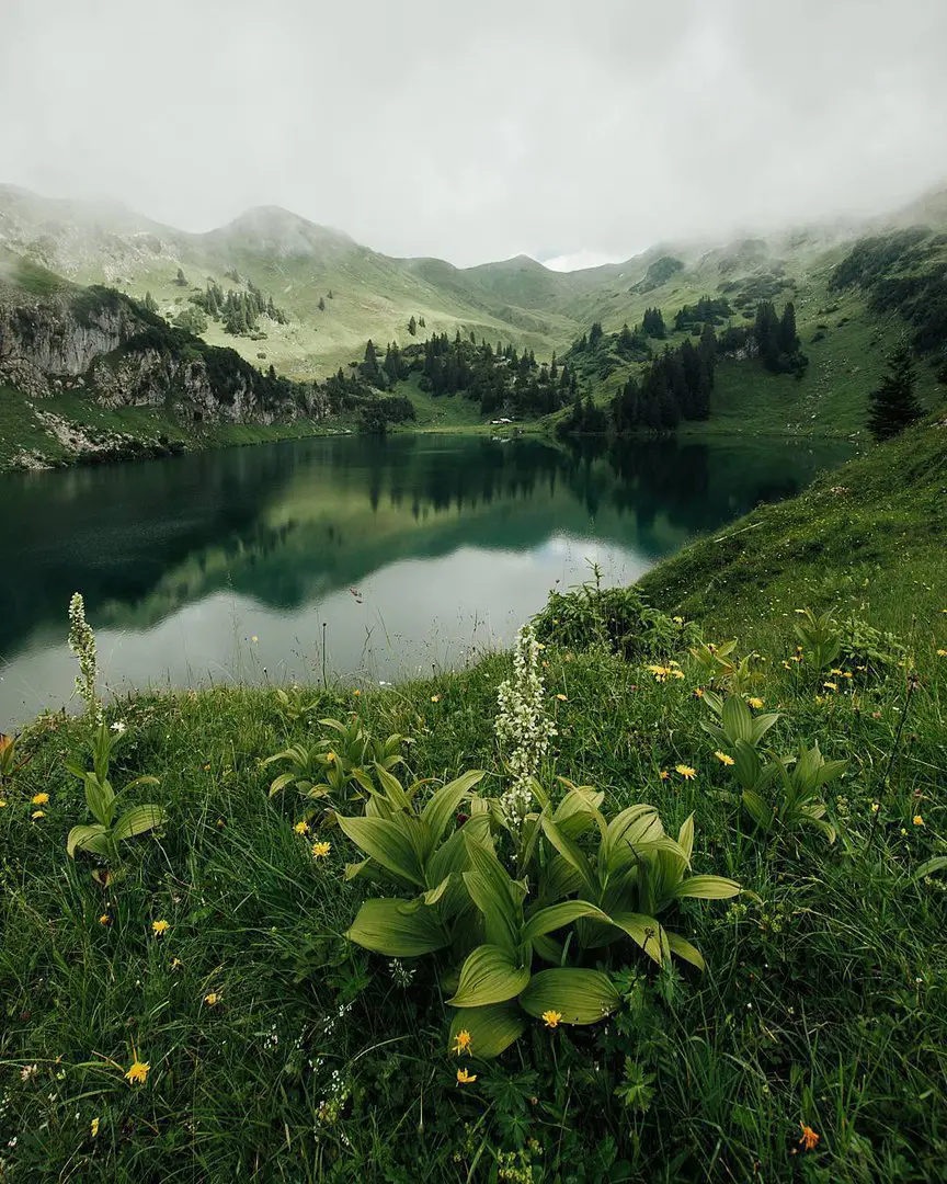 Германия