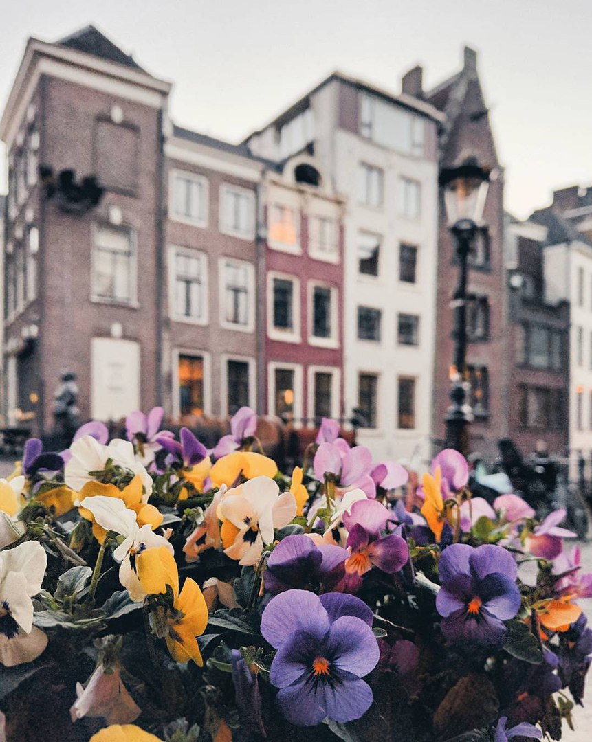 Netherlands