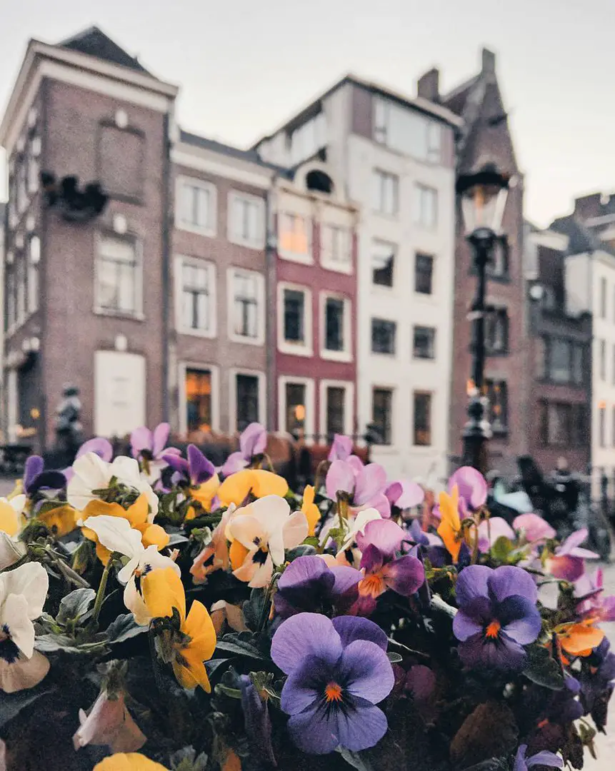 Netherlands