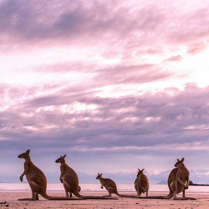 Australia is a piece of a fairy tale in the real world