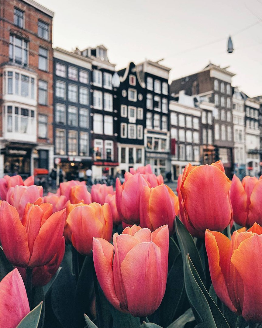 Netherlands