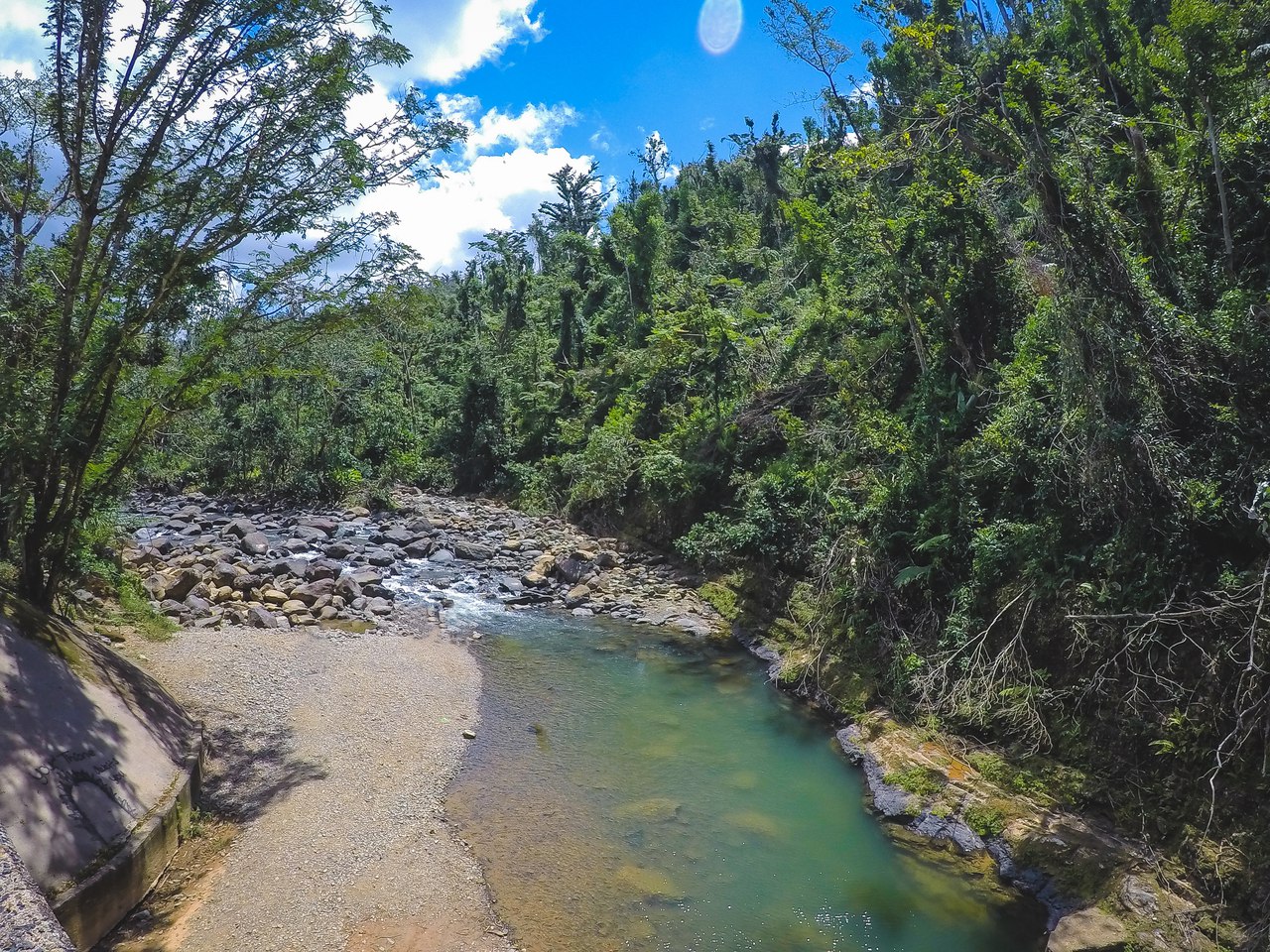 El Yunque National ForestНациональный парк, Пуэрто Рико