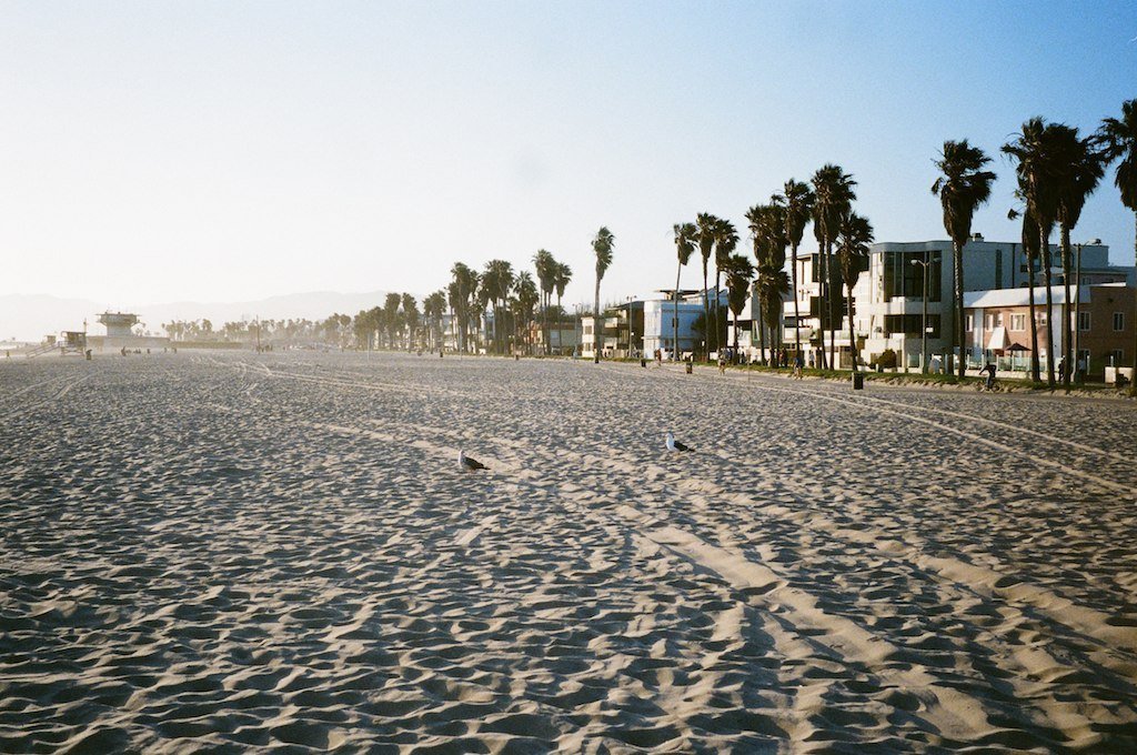 Mood: go out in the evening to walk the dog and drive to the beaches of Miami