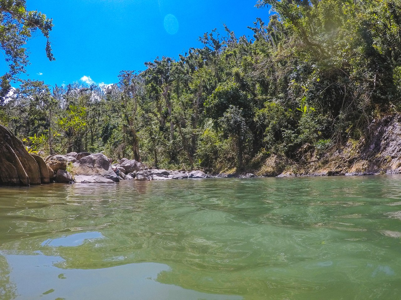 El Yunque National ForestНациональный парк, Пуэрто Рико