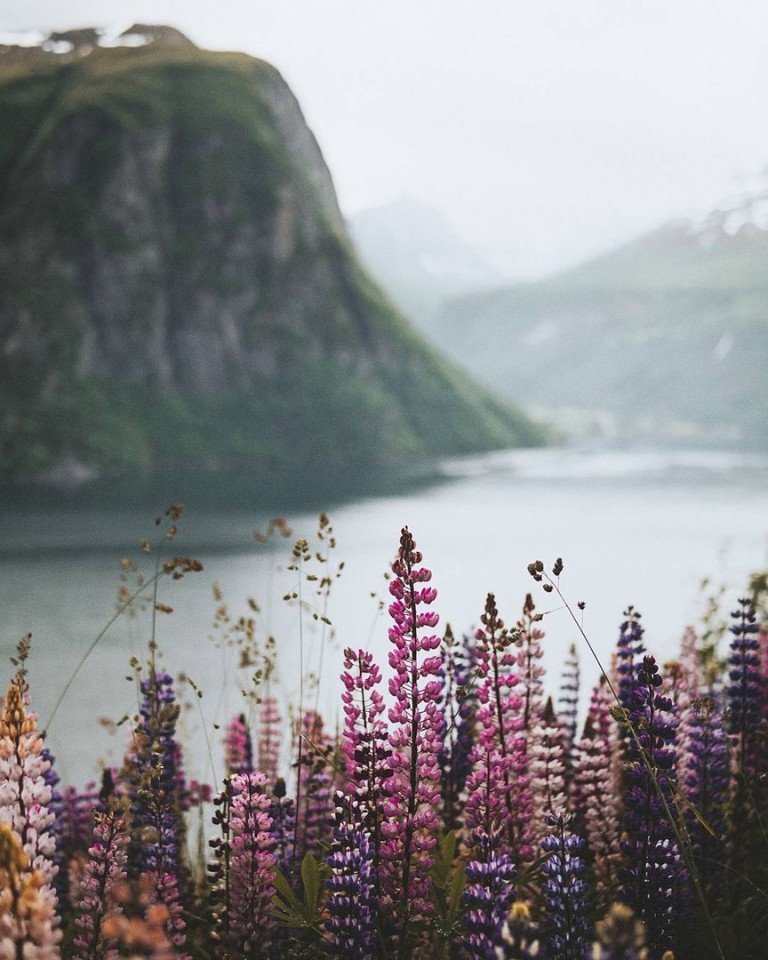 Норвегия - это красота и безмятежность