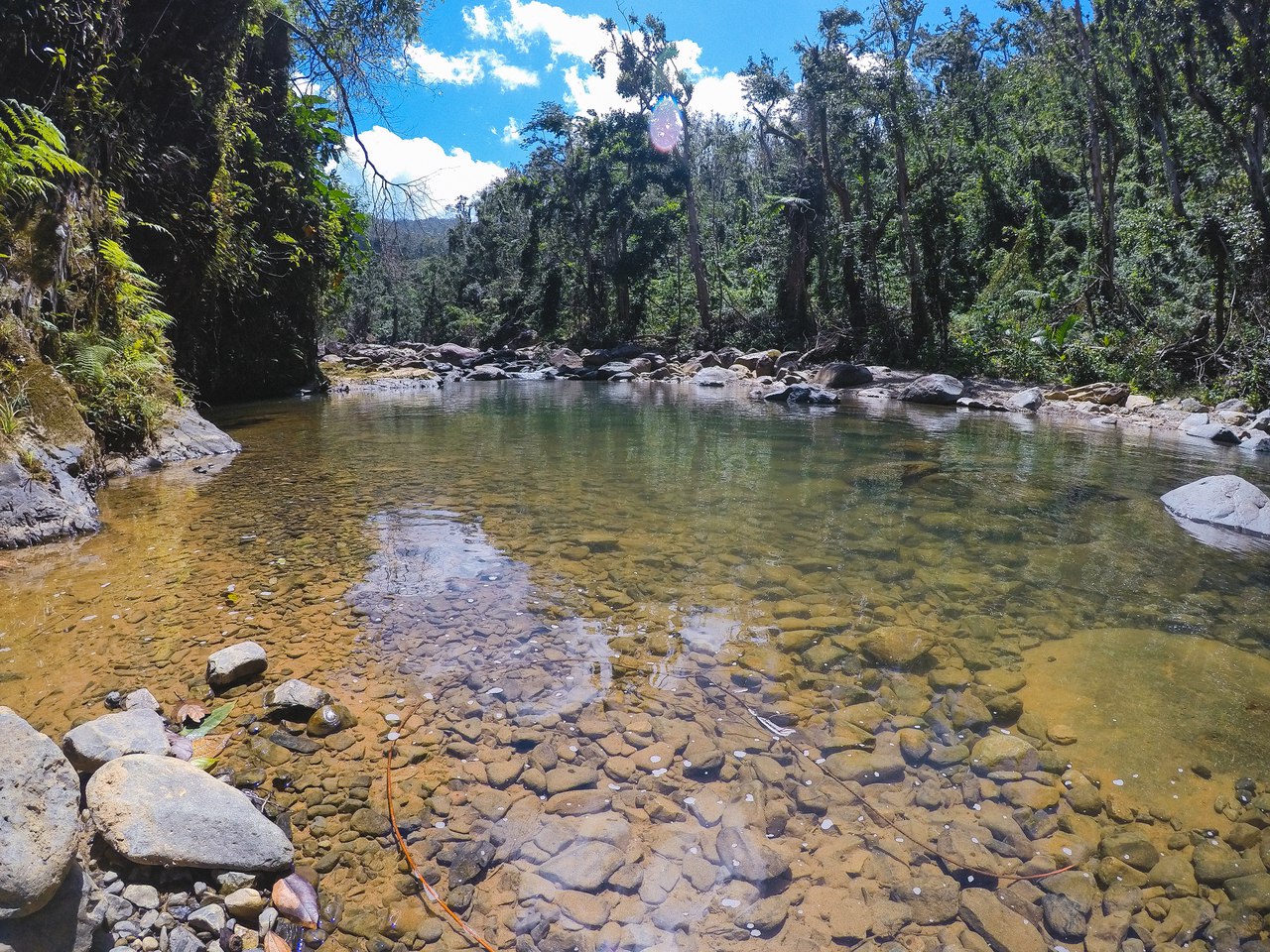 El Yunque National ForestНациональный парк, Пуэрто Рико