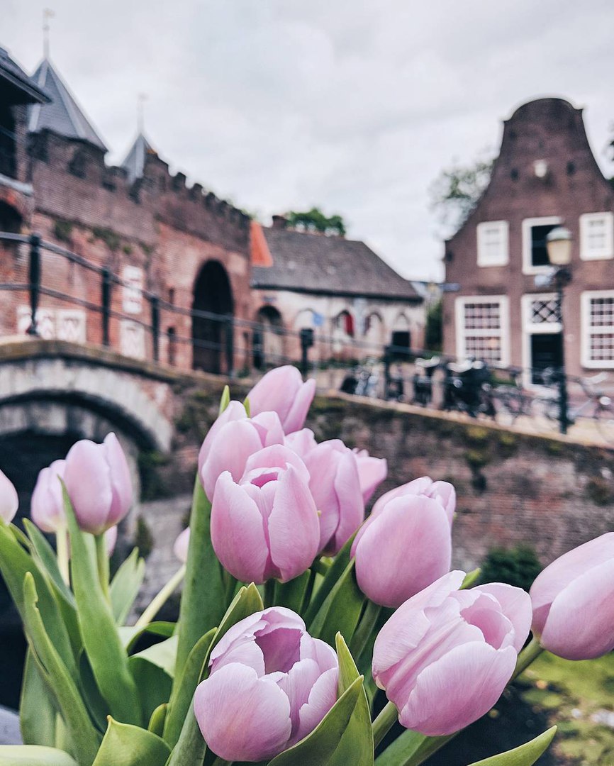 Netherlands