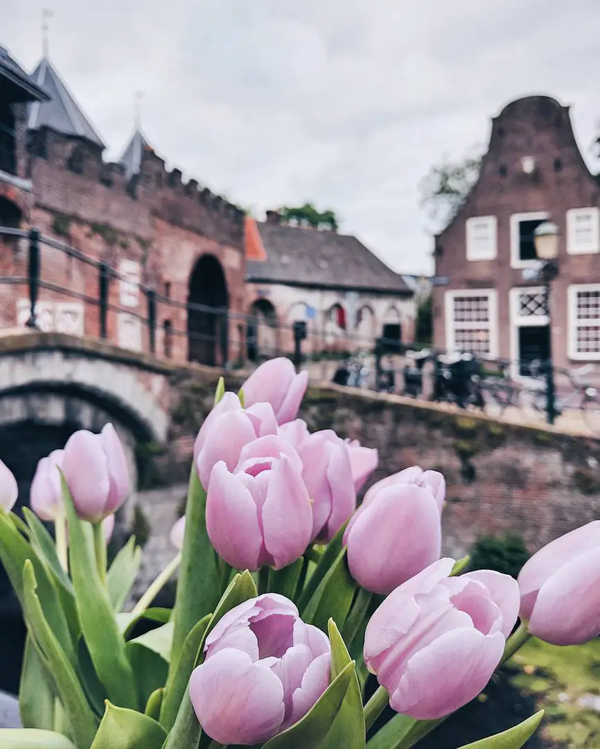 Netherlands