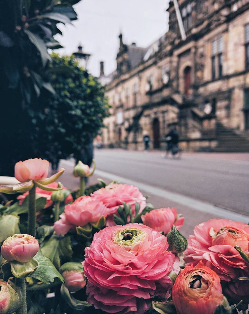 Netherlands