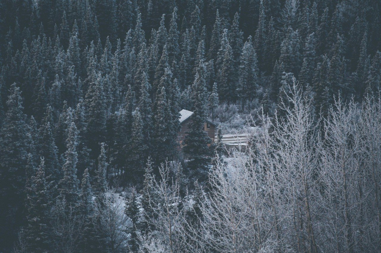Холодная красота Аляски