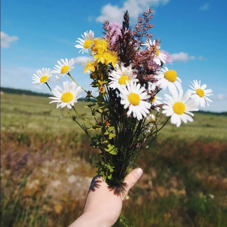 Красота — это вечность, длящаяся мгновение.