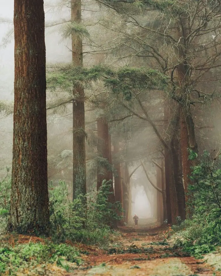 Everyone is able to find their own way. Dream more and listen to your heart.