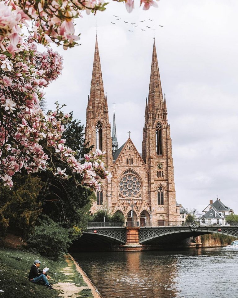 Blooming Strasbourg, France