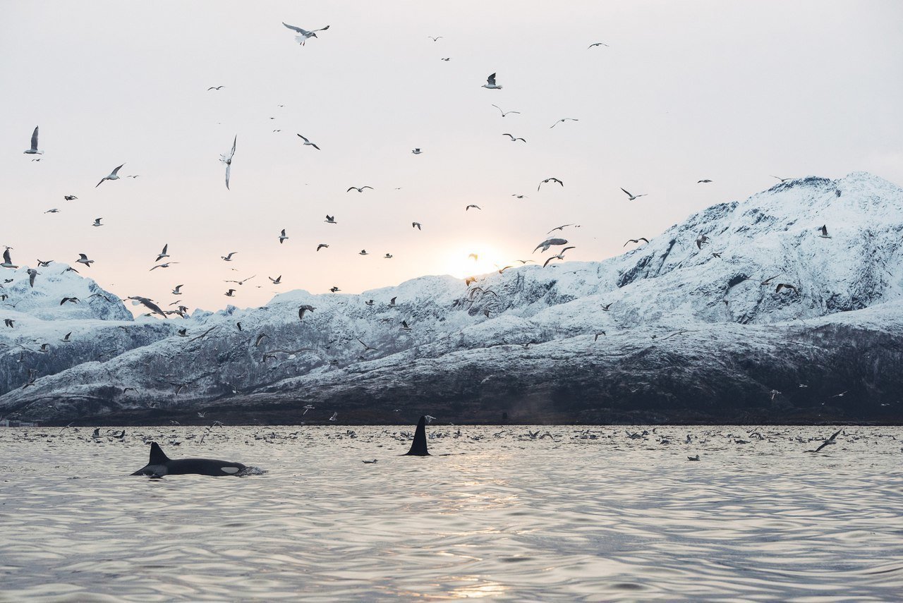 The cold beauty of the expanses of Norway