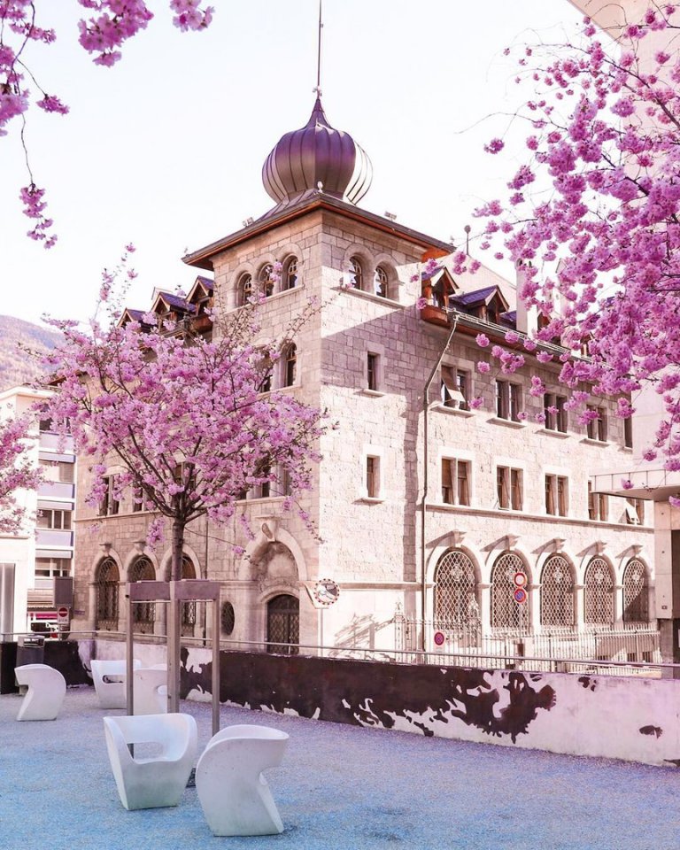 Blooming Switzerland