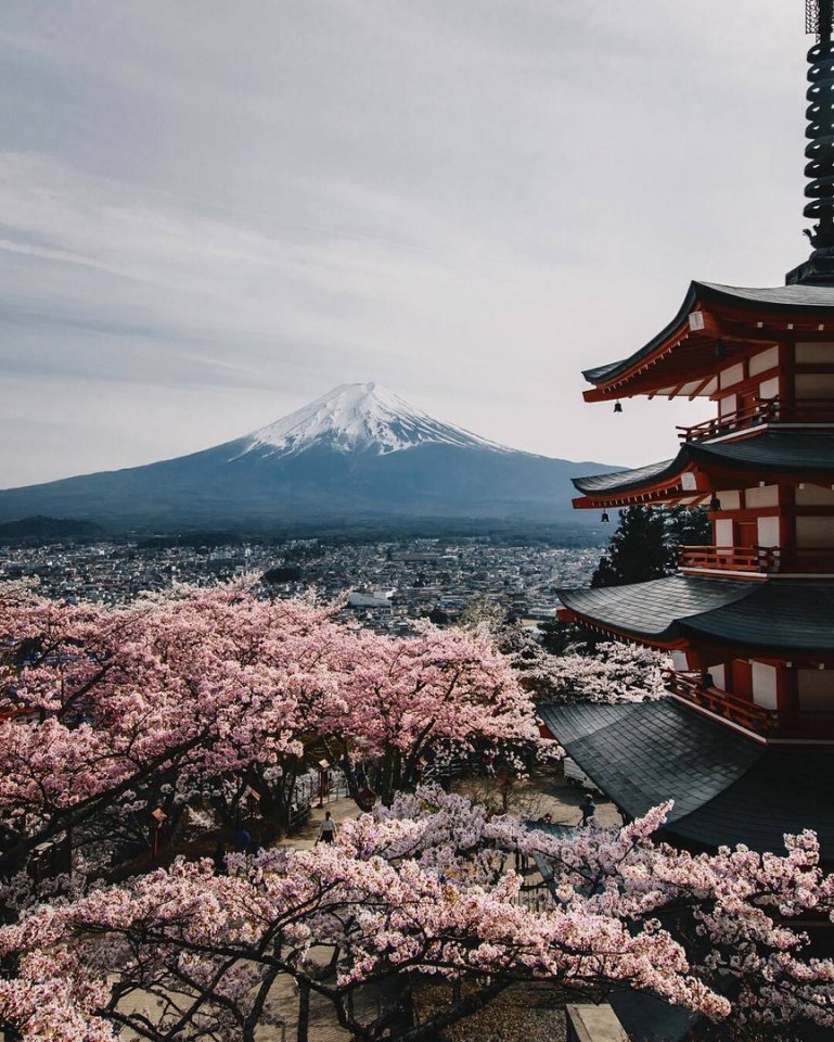 Colorful Kyoto, Japan