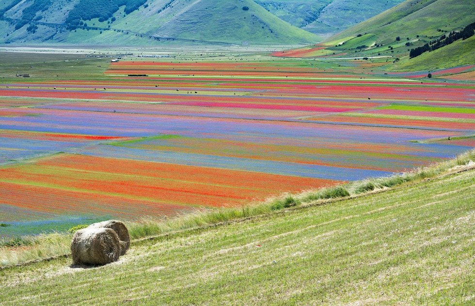 Разноцветные итальянские поля