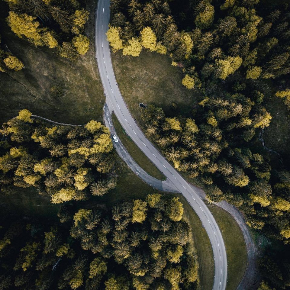 Швейцарское умиротворение
