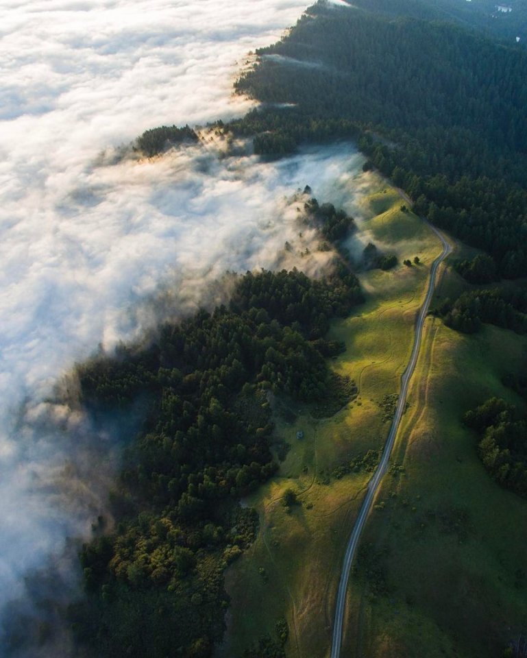 The foggy beauty of California